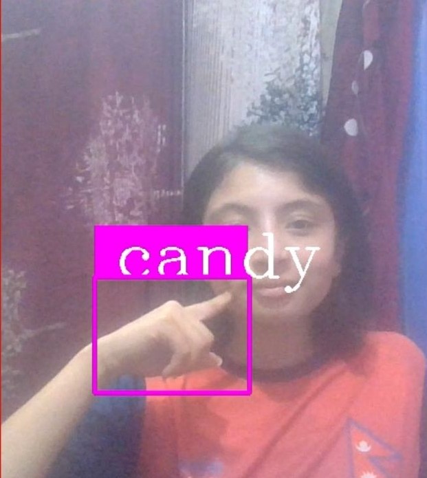 Sign Language Recognition